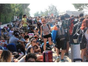 Zeytinli Rock Festivali için on binlerce kişi Edremit’e akın ediyor