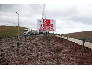 Darbe şehitleri "15 Temmuz Demokrasi ve Şehitler Ormanı" ile yaşatılacak