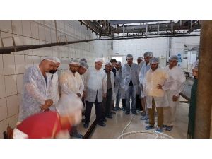 Manavgat Halk Eğitim’den kurban kesim kursu