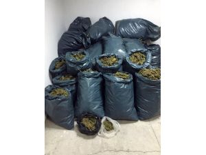 İzmir’de 400 kilo uyuşturucu ele geçirildi