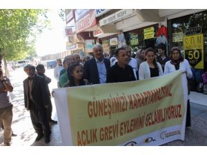 HDP ve DBP’nin basın açıklamasına 20 kişi katıldı