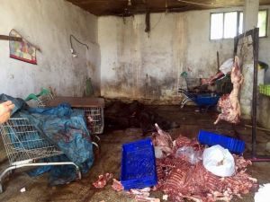 Domuz eti satısının ihbar ettiği sucuk temiz çıktı