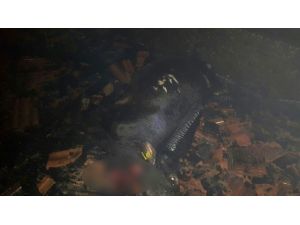Malatya’da korkutan yangın: 2 inek telef oldu
