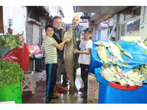 Elazığ’da dev turna balığı yakalandı