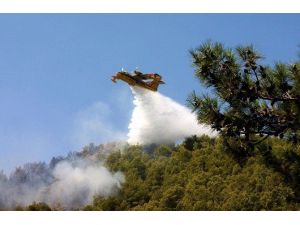 Aydın ve Muğla’da 300 orman yangını çıktı