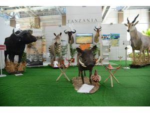 Tanzanya’nın vahşi doğası Expo 2016’da