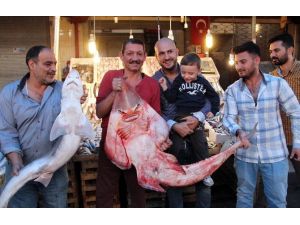 İnsan yüzlü balıklar şaşırtıyor