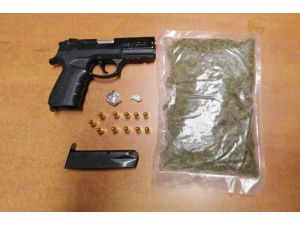 Uyuşturucu operasyonunda ’skunk’ ele geçirildi