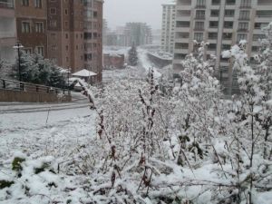 Trabzon’da kar yüksek kesimlerde etkili oluyor