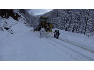 Trabzon’da kar nedeniyle kapanan yollar açıldı