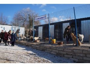 Lapseki hayvan barınağı açıldı