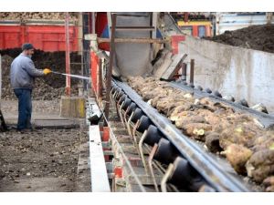 Eskişehir Şeker’in 84 yıllık serüveni