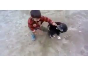 Minik çocukla yavru köpeğin müthiş kavgası