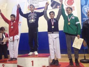 Yıldızlar Anadolu Ligine Dodurgalı taekwondocular damga vurdu