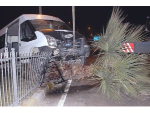 Alkollü sürücü aracıyla birlikte ağaca çıktı: 1 yaralı