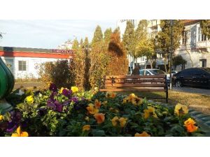 Gazeteci Barış Selçuk Parkı çiçeklerle renklendi