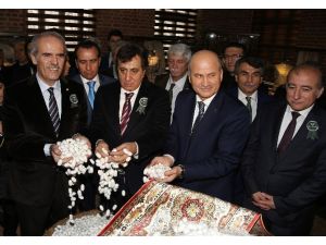 Bursa’da ‘ipek çağı’ başlıyor