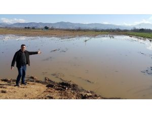 Ödemiş’te yağmur sonrası tarlalarda sel mağduriyeti