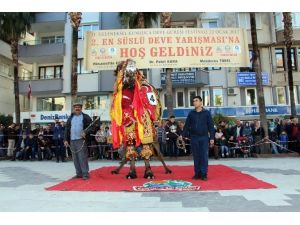 Antalya’da en süslü deve ödülü ’Kanka’ya gitti