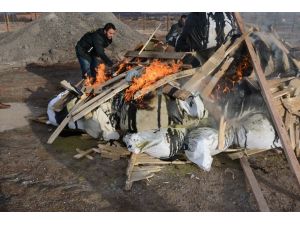 Aksaray’da 1 ton 180 kilo esrar yakılarak imha edildi