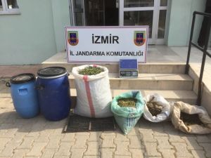 İzmir’de 13 kilogram esrar ele geçirildi
