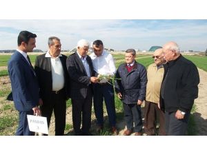 ‘Antalya Buğdayını Arıyor’ projesi