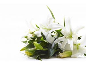"Kadınlar Günü’nün favori çiçeği; lilyum"