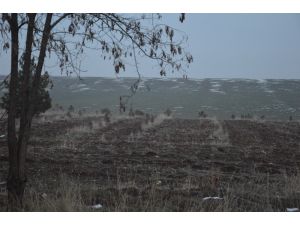 Amonyum nitratlı gübre tartışması