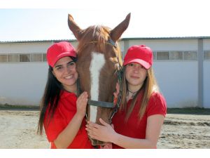 Elazığ’da lisanslı kadın seyisler yetişiyor