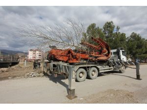 Osmancık’ta Kızılırmak sahilindeki ağaçlar taşınıyor