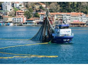 CarrefourSA balıkta cirosunu 4 katına çıkarmayı hedefliyor