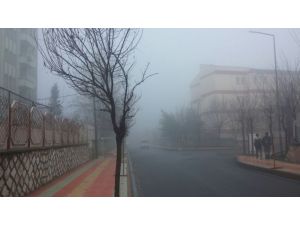 Siirt’te yoğun sis