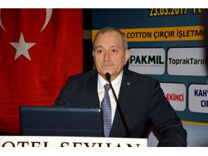Adana’da lisanslı pamuk üretimi 77 bin 897 tona ulaştı
