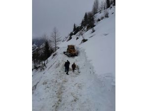 Rize’de karla kaplı yayla yolları açılmaya başlandı