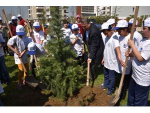 Başkan Çerçi minik bahçıvanlarla fidan dikti