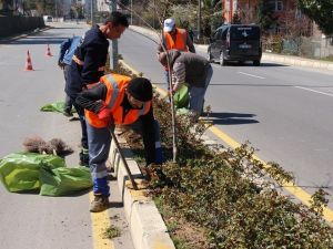 Akçakoca Belediyesi bahar çalışmalarına başladı