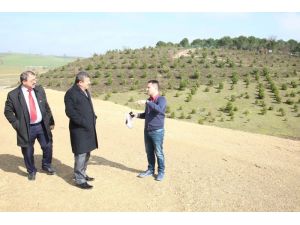 Başkan Karabacak, mesire alanı inşaatını ziyaret etti