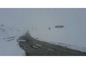 Rize-Erzurum karayolu Ovit Geçidi kar nedeniyle yeniden ulaşıma kapandı