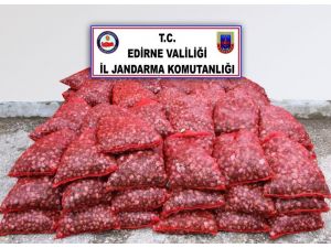 Edirne’de 2 ton canlı midye ele geçirildi