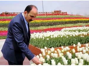 Tropikal Kelebek Bahçesine ziyaretçi akını