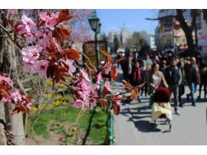 Eskişehir’de kartpostallık bahar görüntüleri