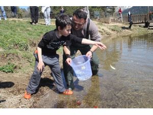 Abant Gölü’ne 51 bin balık salındı