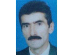 Üzerine ağaç devrilen işçi hayatını kaybetti