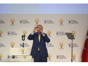 Cumhurbaşkanı Erdoğan: “Uzattığımız eli ısıranlara hiddetimiz sert olmuştur”