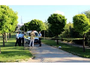 Parkta oynayan çocuklar bebek cesedi buldu