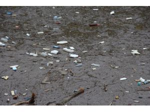Sera Gölü çöplerle boğuşuyor