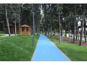 Halkalı Çamlık Piknik Alanı yenilenen yüzüyle Küçükçekmecelilerin hizmetinde