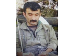 Tunceli’de PKK’nın sözde Özel Güç Sorumlusu öldürüldü
