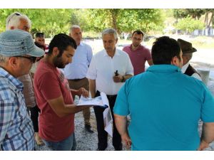 Söke mesire alanına kavuşuyor