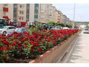 Çankırı çiçek açtı